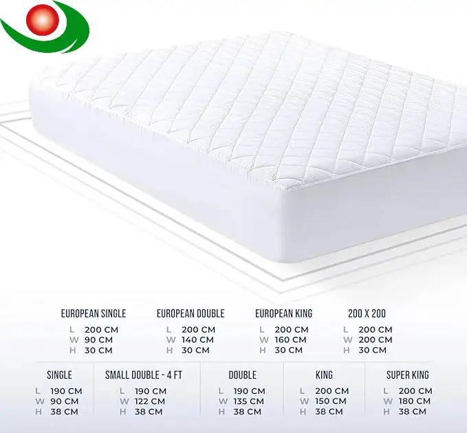 Vinyl Mattress Protector with Elastic Fitted Design