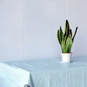 Light Blue Flannel Backed Vinyl Tablecloth